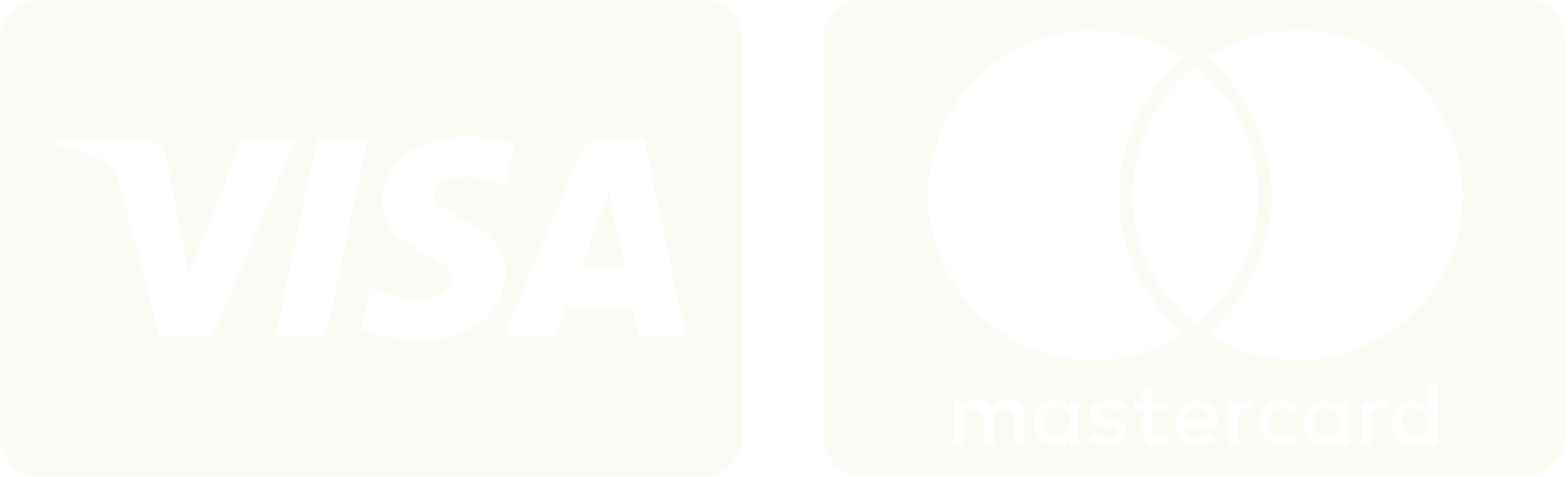 Visa i Mastercard